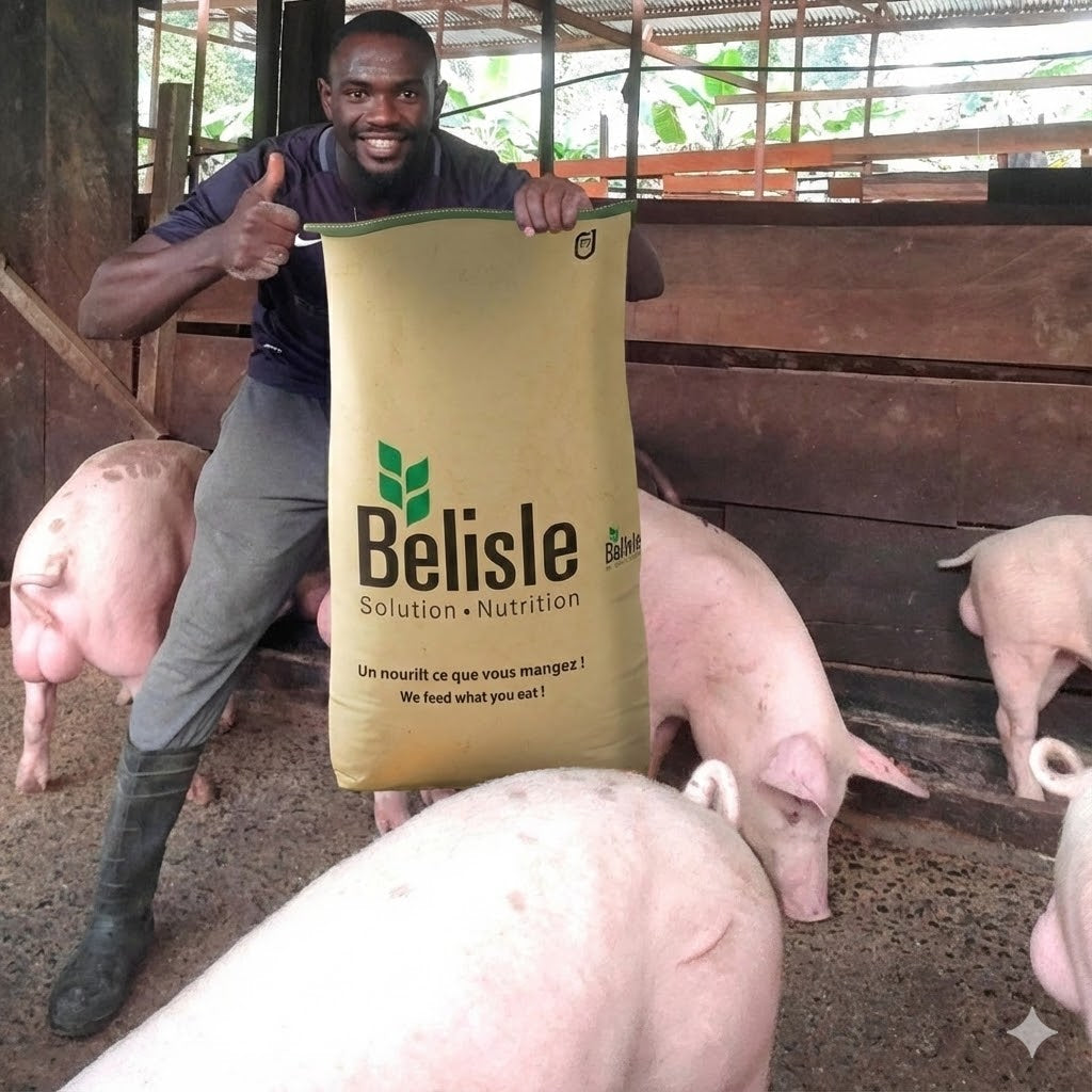 Prémix Belisle 2% (Porc & Volaille)