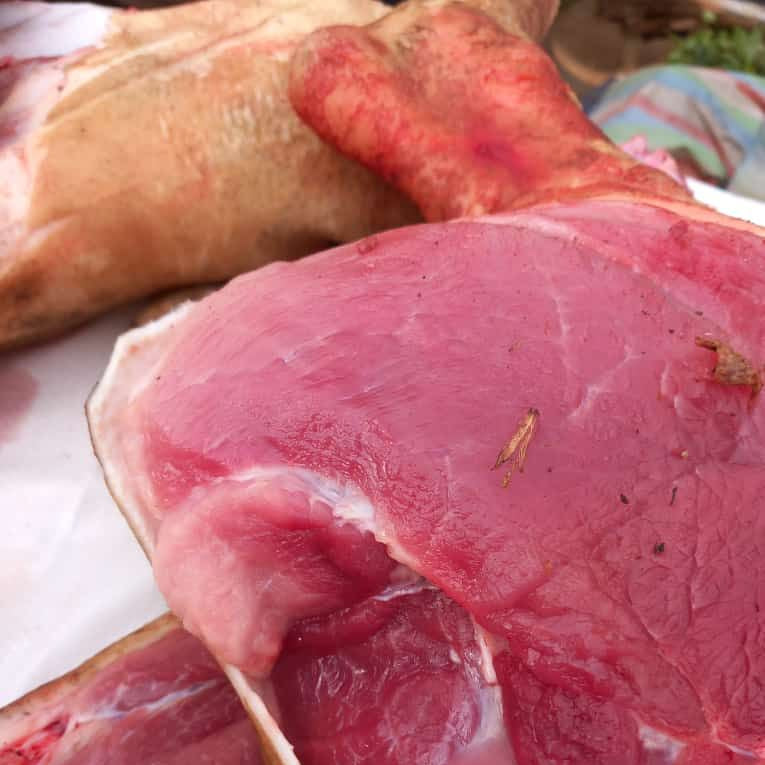 Bio Earn - Additif Alimentaire Premium 🐷