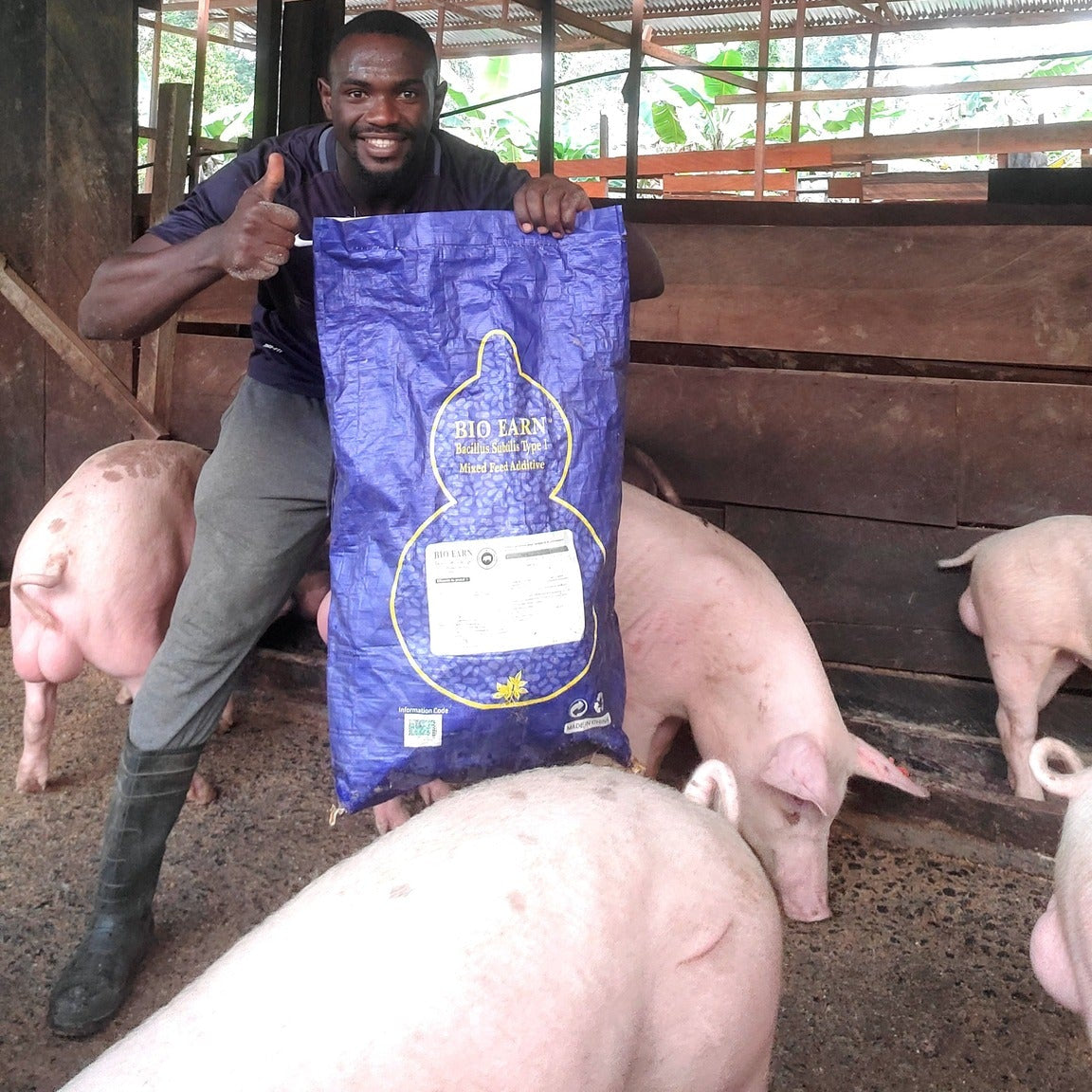 Bio Earn - Additif Alimentaire Premium 🐷